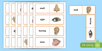 The Five Senses Dominoes