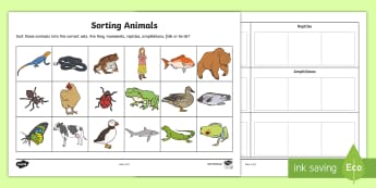 Sorting Animals into Sets Worksheet - worksheet, sorting, animals