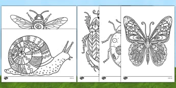 Minibeast Themed Mindfulness Colouring Sheets - minibeast, mindfulness, colouring, sheet, colour, stress relief, calm, de-stress