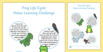 EYFS Frog Life Cycle Home Learning Challenge Sheet Nursery FS1 - EYFS, homework, Early years, Life Cycles, frogs, tadpoles, frogspawn, spring, growth, growing