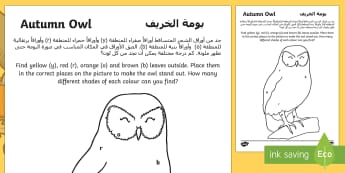 Autumn Owl Art Outdoor Activity Sheet Arabic/English - art,outdoor learning, seasons, shades, colour, colour by number, worksheet EAL