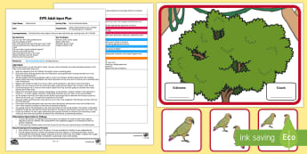 EYFS Parrot Estimation Game Adult Input Plan and Resource Pack - Early Years planning, Adult Led, Estimate, Numeracy, Maths, Mathematics, Number, 40-60, early years 