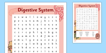 Digestive System Word Search - digestive system, word search, digest, stomach, intestines, science