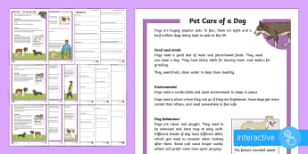 KS2 Pet Care of a Dog Differentiated Comprehension Go Respond Activity Sheets - KS2 National Pet Month (April 2017), pet care, dogs, dog, looking after a dog, taking care of a dog,
