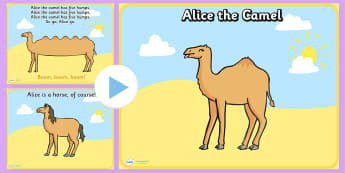 Alice the Camel PowerPoint - alice the camel, alice the camel powerpoint, song, childrens song, song powerpoint, alice the camel song