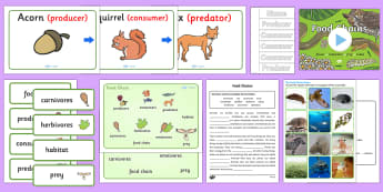 Food Chains KS2 - - Food Chains KS2, animals, ks2, living things, feeding relationships