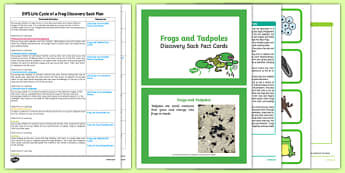 EYFS Life Cycle of a Frog Discovery Sack Plan and Resource Pack - frog, life cycle, discovery sack