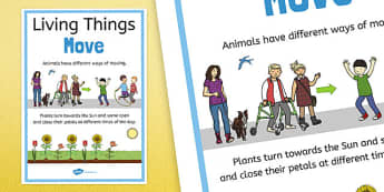 Living Things Move Display Poster - australia, living things, move, display poster, display, poster