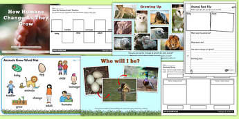 Animal and Humans Growing PowerPoints and Activities Teaching 