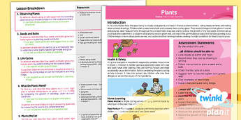 Science: Plants Year 2 Planning Overview