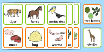 Animals and What They Eat Matching Cards - animal, matching, game