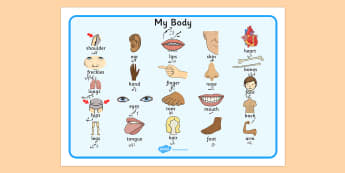 My Body Word Mat Urdu Translation - My body word mat, Parts of the body, eyes, nose, mouth, back, chest, tongue, ourselves, all about me, my body, senses, emotions, family, body, growth, sences, sesnses, emtions, oursleves, pictures of people frieght