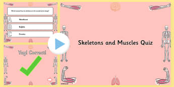 Skeletons and Muscles PowerPoint Quiz - human, muscle, body