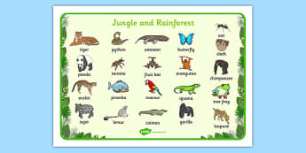 Jungle & Rainforest Word Mat - Jungle, Rainforest, word mat, writing aid, vines, A4, display, snake, forest, ecosystem, rain, humid, parrot, monkey, gorilla