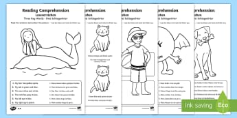 Reading Comprehension – Three Key Words Activity Sheets English/German - Reading comprehension, information carrying words, key words, follow instructions, worksheet, activi