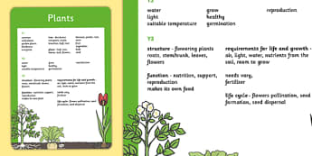 Year 1 to Year 3 Plants Scientific Vocabulary Progression Poster