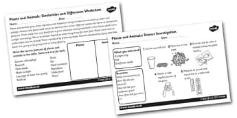 Plants and Animals Similarties and Differences and Science Investigation Worksheet - living things, plants and animals, living things worksheet, science