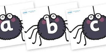 Phoneme Set on Spiders - Phoneme set, phonemes, phoneme, Letters and Sounds, DfES, display, Phase 1, Phase 2, Phase 3, Phase 5, Foundation, Literacy