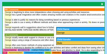 EYFS Report Writing Bank of Statements CoEL Areas of Learning and General -