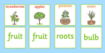 Fruit and Vegetable Plant Matching Cards - fruit and vegetable plants matching cards, fruit and vegetable, fruit, vegetable, matching cards, matchin, match, cards, flashcard, plants, apple, banana, pear, tomato, potatoe, carrot