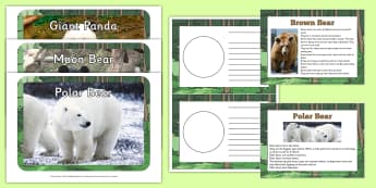 Facts about Bears EYFS Resource Pack - facts, bears, resource, pack