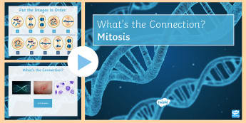 Mitosis What's the Connection? PowerPoint - KS4 What's the Connection?, Mitosis, Parent Cell, Daughter Cell, Anaphase, Cytokinesis, Nucleus, Ch
