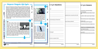 Emperor Penguin Life Cycle Differentiated Reading Comprehension Activity