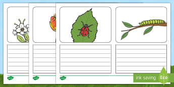 Minibeast Picture Simple Sentence Writing Frames - writing frames, minibeasts, ks1, writing frame, writing, nature, insects, simple sentences, colourin