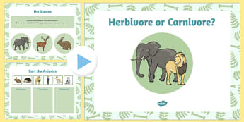 Living Things and their Habitat Herbivore or Carnivore Flipchart 
