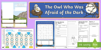 The Owl Who Was Afraid of the Dark Resource Pack to Support Teaching on The Owl Who Was Afraid of the Dark - The Owl Who Was Afraid Of The Dark, stars, light, fireworks, day, night, nocturnal, Barn owl, huntin