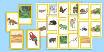 Animals and their Habitats Matching Cards - animals, habitats