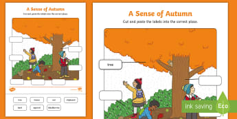 A Sense of Autumn Cut and Paste Labelling Activity - exploring my world, seasons, Aistear, school trip, forest, blackberries, squirrels, leaves, bark, li