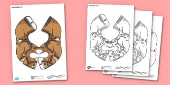 Horse Bee Bot Jacket - horse, bee bot, beebot, bee-bot, jacket, class, activity