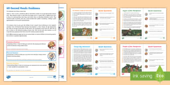 LKS2 60-Second Reads: Rainforests Activity Pack - Ninety Words Per Minute, Speed Read, Sixty Second Reads, Assessment, Reading, Timed Reading, Read Al