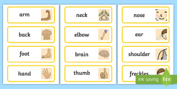 Parts of the Body Topic Word Cards - Body parts, my body, nose, eyes, ears, mouth, arm, leg, finger, ourselves, all about me, my body, senses, emotions, family, body, growth, parts od the body