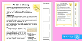 KS2 Pet Care of a Canary Differentiated Comprehension Go Respond  Activity Sheets - KS2 National Pet Month (April 2017),pet care, owning a canary, looking after a bird, canaries, pets,