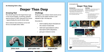 Deeper Than Deep Activity Sheet Activity Sheet, worksheet