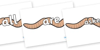 Tricky Words on Worms - Tricky words, DfES Letters and Sounds, Letters and sounds, display, words