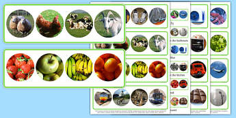 Photo Guess The Category Activity - photo, guess, category, activity