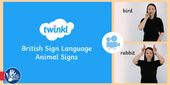 Animal Signs in British Sign Language (BSL) Video Clip - british sign language, bsl, deaf, hard of hearing, HH, HoH, Ddeaf, D/deaf, deafblind, communication,