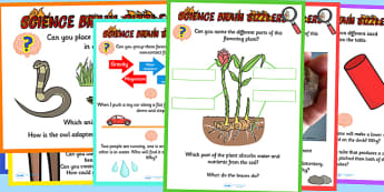 Science Brain Sizzlers Question Posters - science, posters  