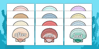 Connectives on Clam Shells - connectives, clam, shells, display