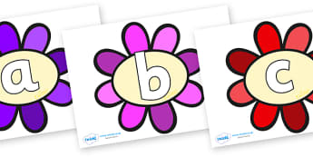 Phoneme Set on Flowers - Phoneme set, phonemes, phoneme, Letters and Sounds, DfES, display, Phase 1, Phase 2, Phase 3, Phase 5, Foundation, Literacy