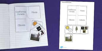Living Things and their Habitats Coniferous Forest Flap Book
