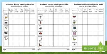 Minibeast Habitat Investigation Worksheet - minibeast investigation, naming minibeasts, describing minibeasts, Minibeasts, Topic, Foundation stage, knowledge and understanding of the world, investigation, living things, snail, bee, ladybird, butterfl