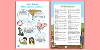 Voice Sounds EYFS Home Learning Challenge Sheet Nursery FS1 - EYFS planning, Early years activities, homework activities, phonics, Letters and Sounds, Phase 1, Aspect 6