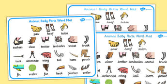 Animal Body Parts Word Mat - animal, body, parts, word, mat