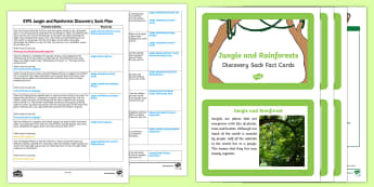 EYFS Jungle Discovery Sack - EYFS, jungle, animals, discovery