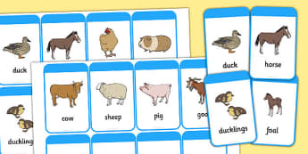 Mothers and their Young Farm Animals Flash Cards - farm, on the farm, farm animals, mothers and their young matching cards, mothers and their young game