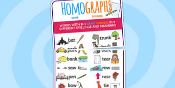 Large Homograph Display Poster - homograph, display, poster 